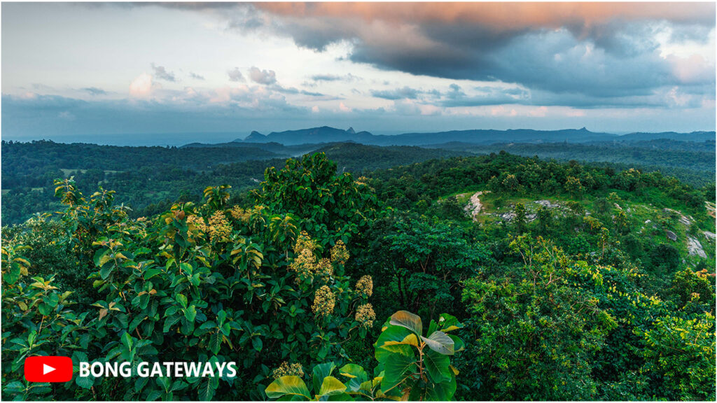 bong travels - 18 March